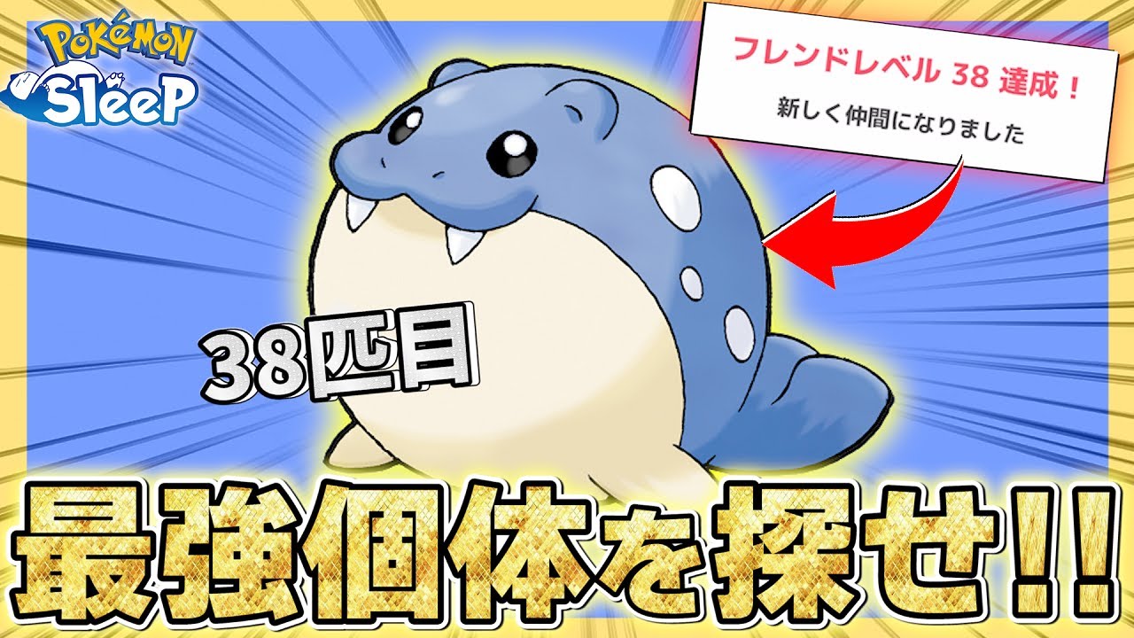 【本気】ここまで来たら最強のタマザラシとワニノコ捕まえるわ。【ポケモンスリープ/シアンの砂浜】