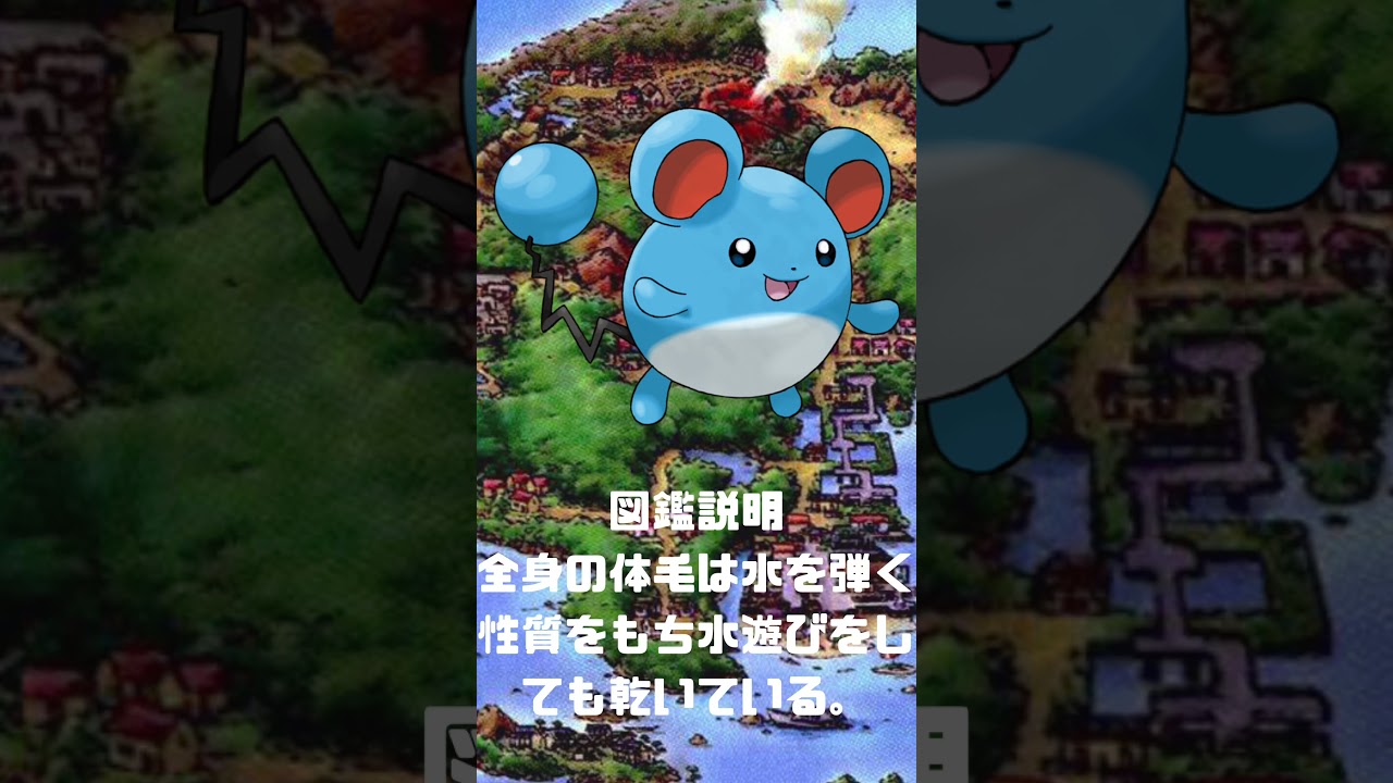 Ｎｏ．0183 マリル【ポケモン図鑑】 #shorts   #ポケモン　#pokemon