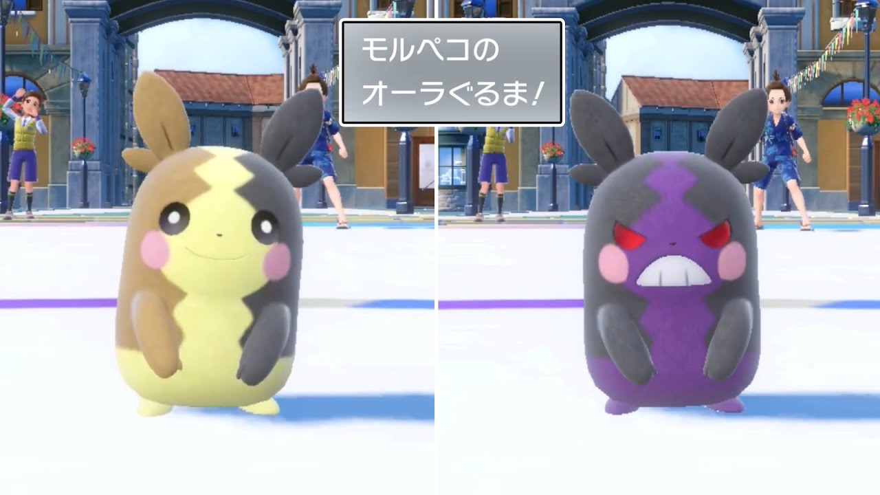 このやばすぎる環境でモルペコを活躍させたい【ポケモンSV】