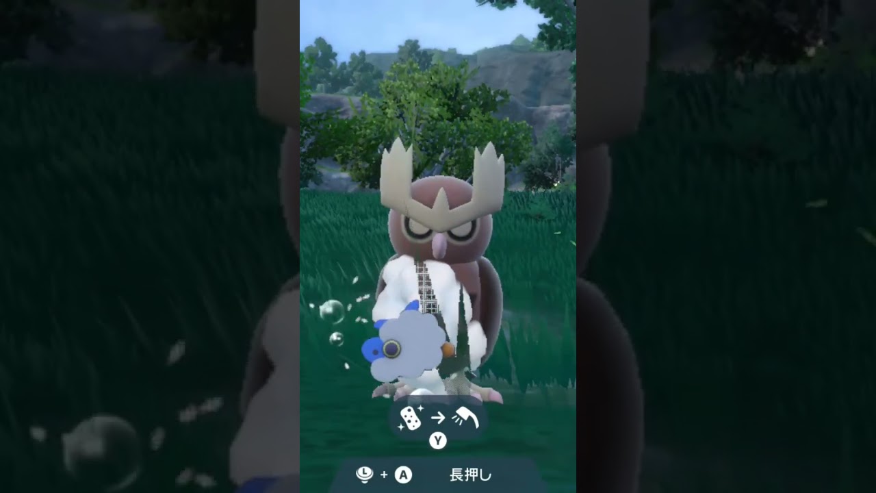 ヨルノズク Noctowl【ポケモンsv】