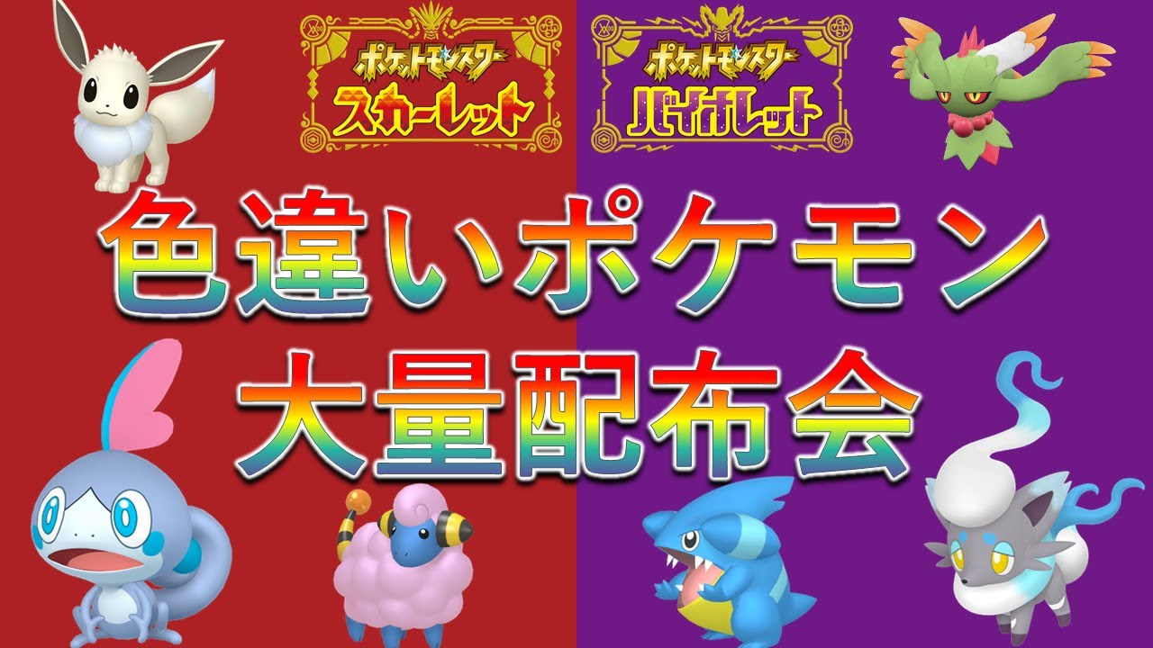 【ポケモンSV】色違いポケモン大量配布会！メッソンやヒスイゾロアなど色違い御三家ポケモンの抽選配付も！