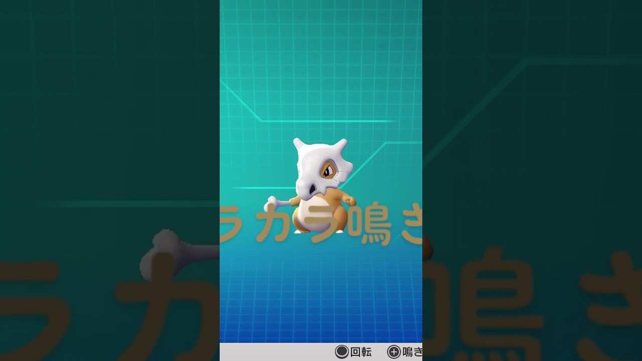 ピカブイ【図鑑NO104】カラカラ鳴き声#ポケモン鳴き声 #図鑑コンプ #レッツゴーピカチュウ #レッツゴーイーブイ#ポケモン生態#カラカラ動き#Cubone