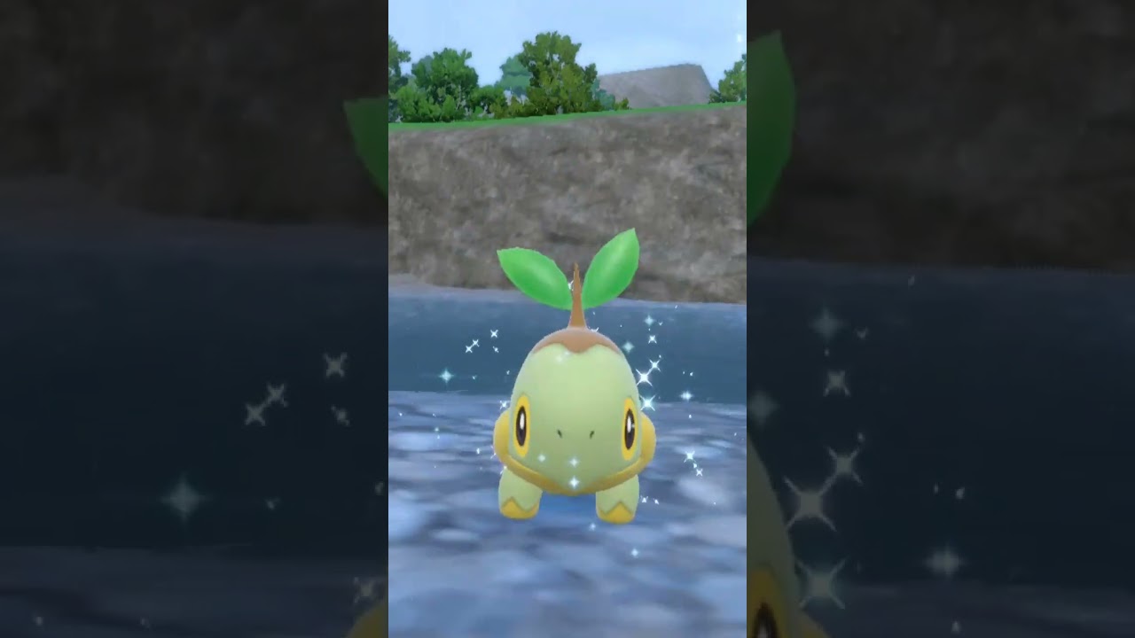 ナエトル Turtwig【ポケモンsv】
