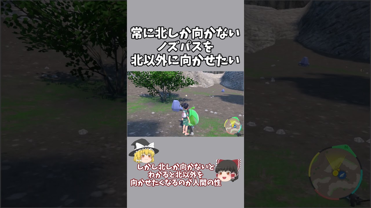 常に北を向いている野生のノズパスを、北以外に向かせたい【ポケモンSV】