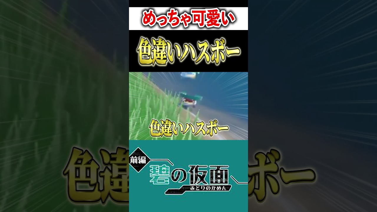 【碧の仮面】色違いハスボーが可愛すぎる件　#shorts #ポケモンSV　#色違い縛り旅
