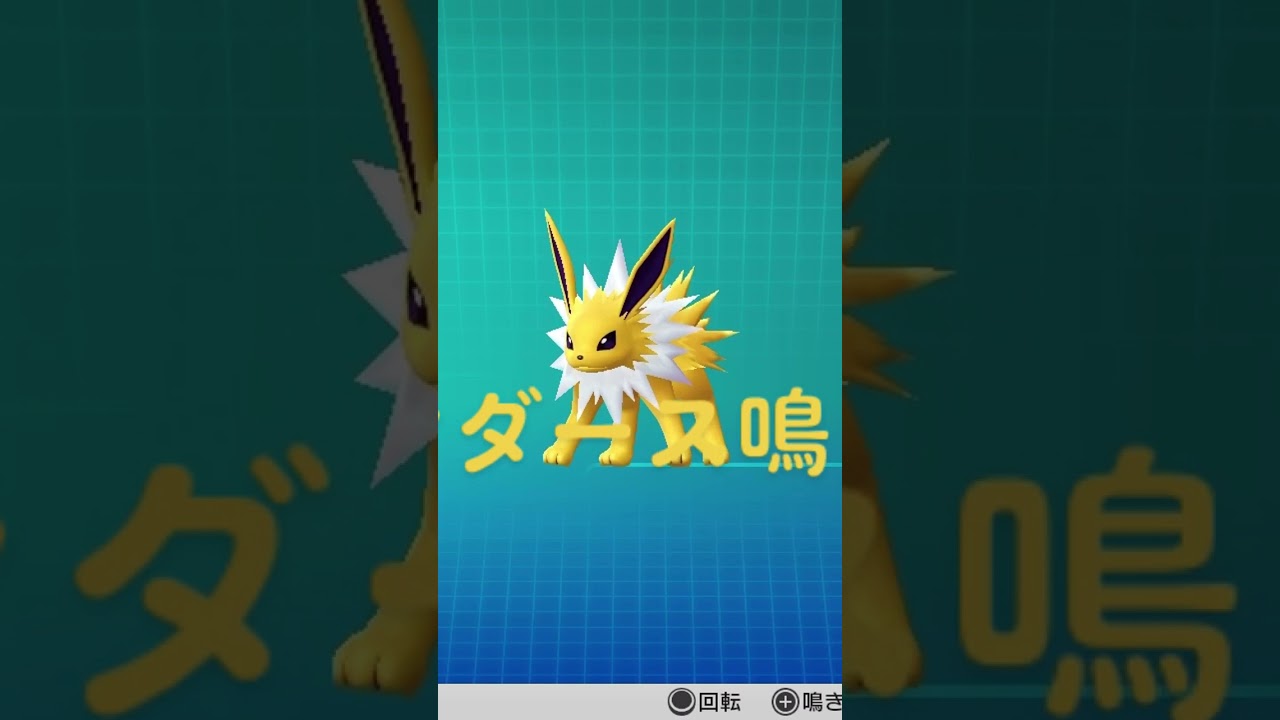 ピカブイ【図鑑NO135】サンダース鳴き声#ポケモン鳴き声 #図鑑コンプ #レッツゴーピカチュウ #レッツゴーイーブイ#ポケモン生態#サンダース動き#Jolteon