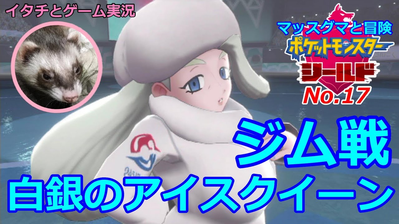 【ポケモン盾】マッスグマと冒険No.17【視界ゼロのアイスクイーン】