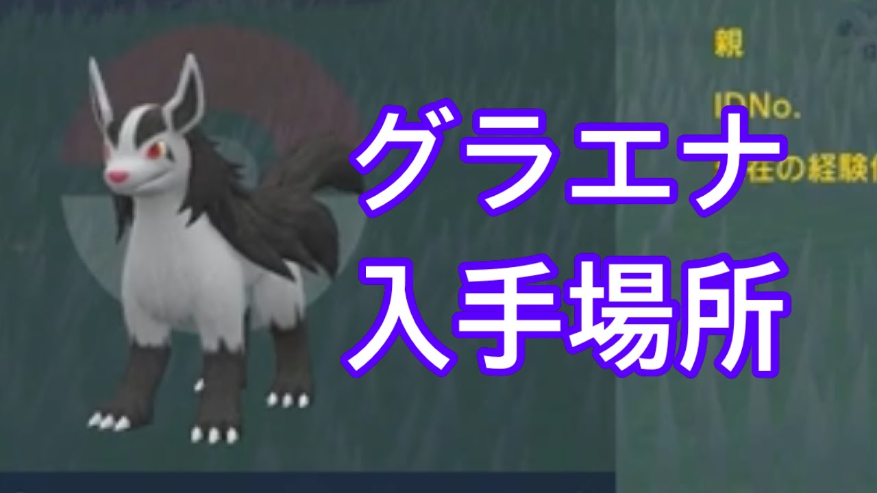 【ポケモンSV】【DLC】グラエナ入手場所