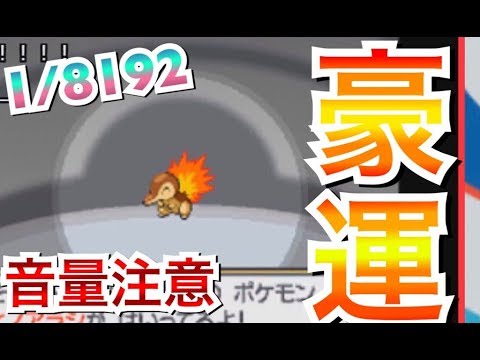 395回でヒノアラシの色違いを出してしまう男　【ポケモンHGSS】