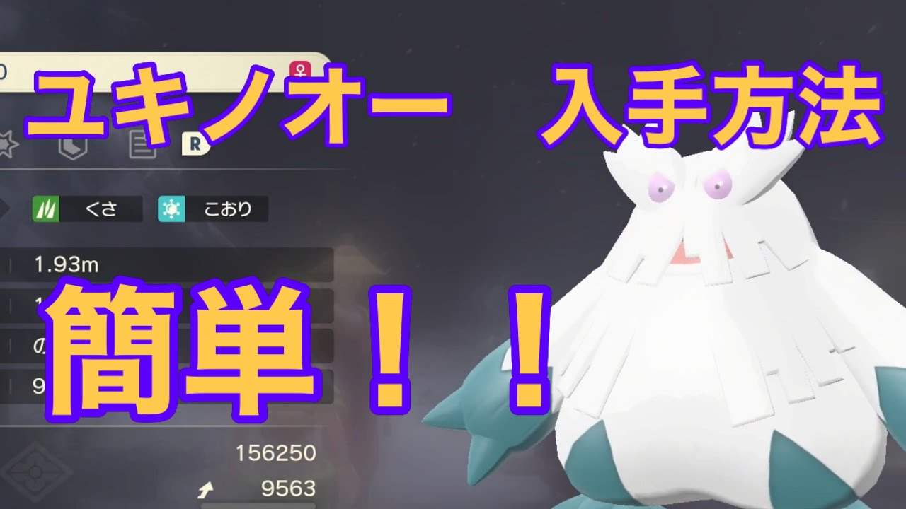 【Pokémon LEGENDS アルセウス】ユキノオー入手方法　攻略動画