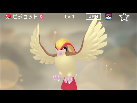 【正規】レベル1ピジョットが爆誕した。【ポケモンHOME】
