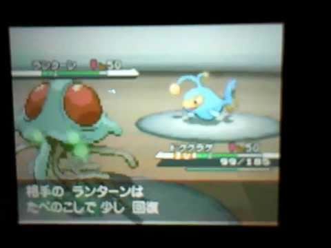 【ポケモンBW】ドククラゲ達で運ゲしてみた