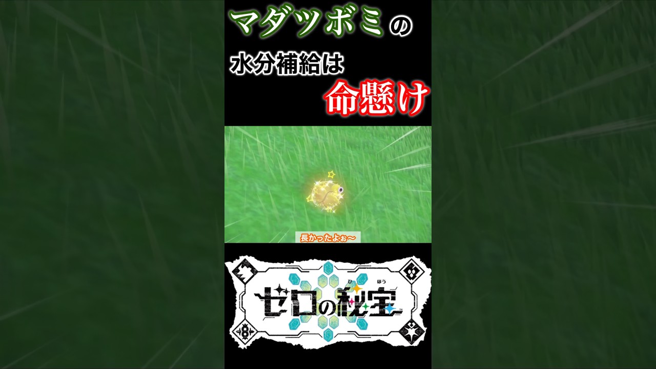マダツボミの図鑑説明が怖い😱#shorts #short #pokemon #色違い#ポケモンsv