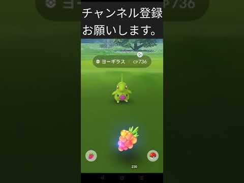 ［ポケモンGO］ヨーギラス色違い!#ポケモンgo #shorts