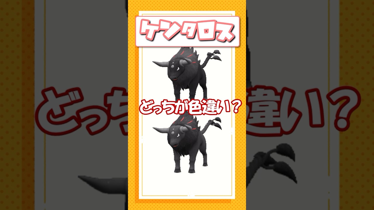 ポケモン色違いクイズ！ モクロー、ハリテヤマ、パルデアケンタロス編