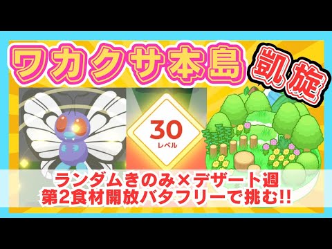 【無課金】カメックス、リザードンに続きバタフリーも第2食材枠開放!!ワカクサ凱旋帰国！＠ワカクサ本島【ポケモンスリープ】社畜OLの無課金ゲーム実況攻略記20231023
