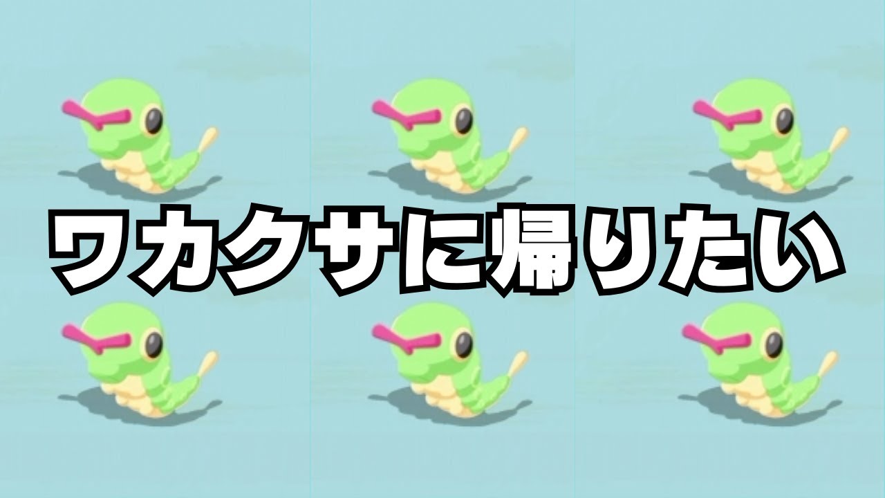 【シアンの砂浜マスター】グッドスリープデイ？いいえ、キャタピーデイです。【ポケモンスリープ】