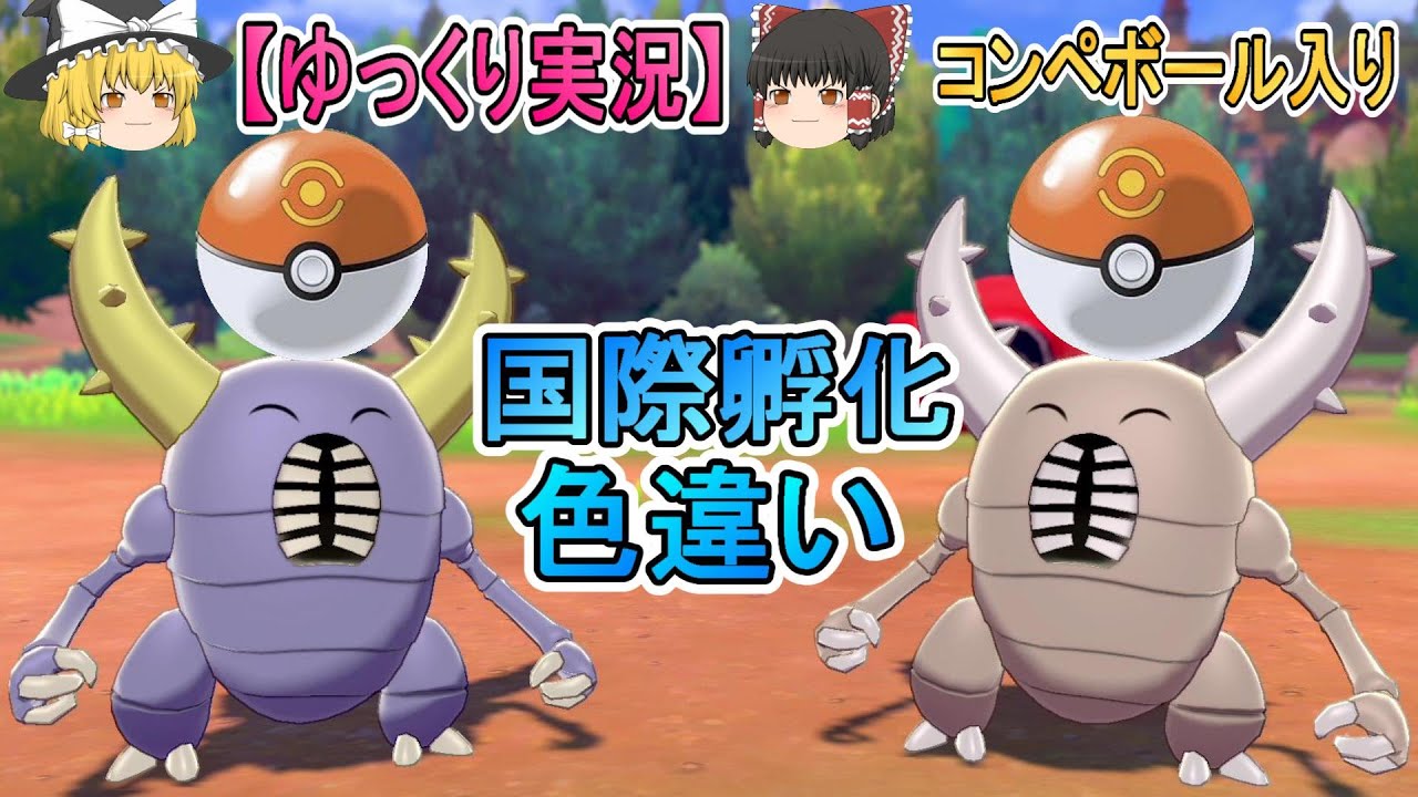 ポケモン剣盾 『国際孵化でコンペボール入り色違いカイロス ゲット!!』【ゆっくり実況】