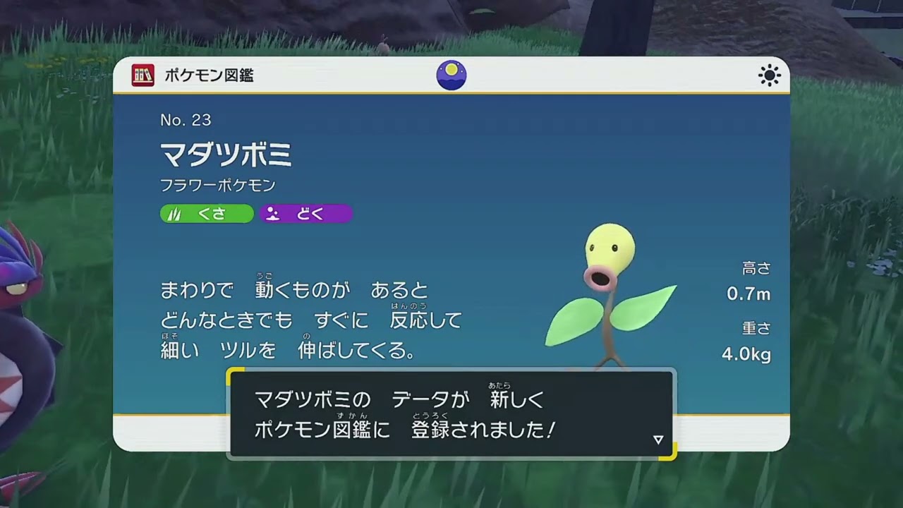 【通常版】No23 マダツボミ図鑑登録完了！【ポケモンSV】