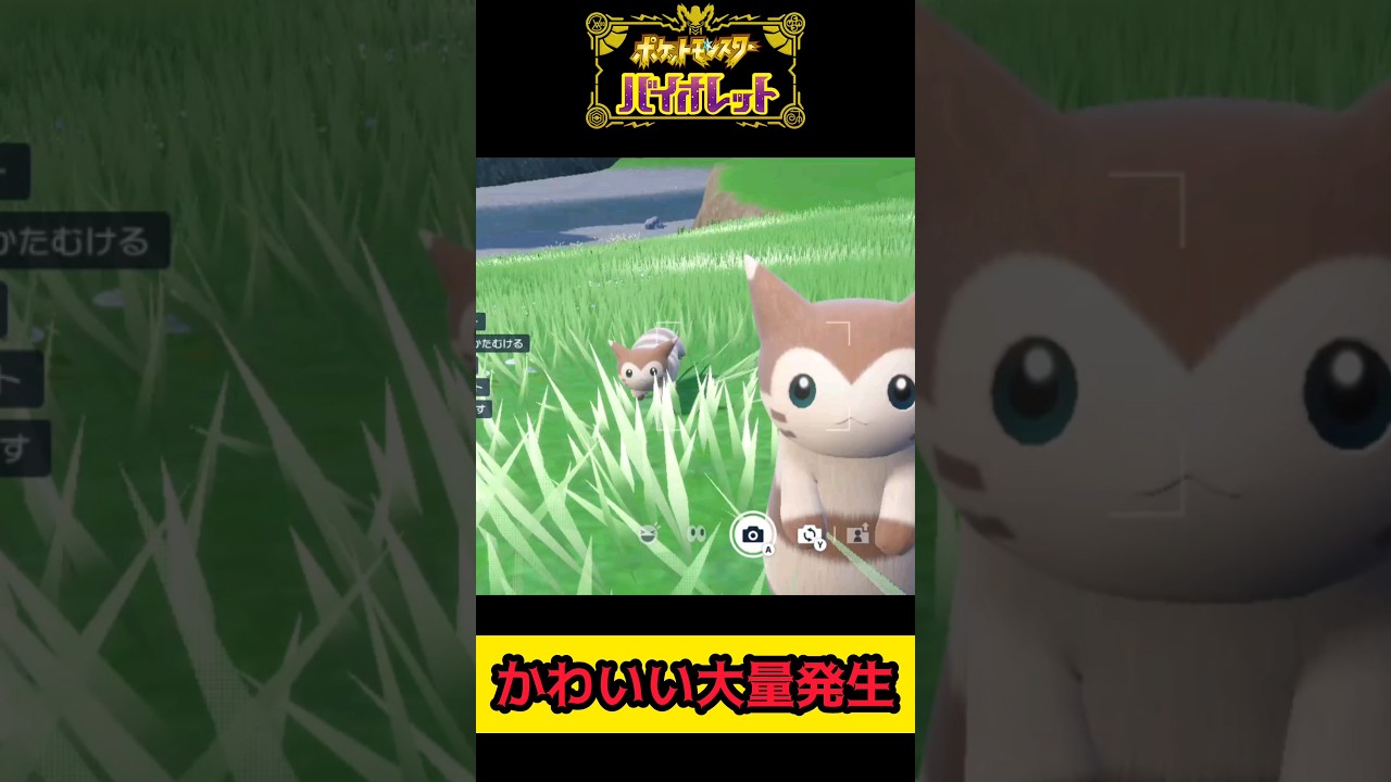オオタチがいっぱい可愛すぎる【ポケモンSV ポケモンスカーレット/バイオレット】 #shorts #pokemonscarlet  #pokemonviolet