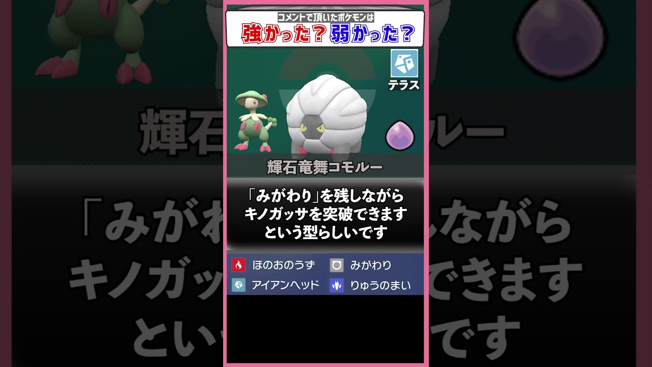 『コモルー』を開拓した天才からのお便り