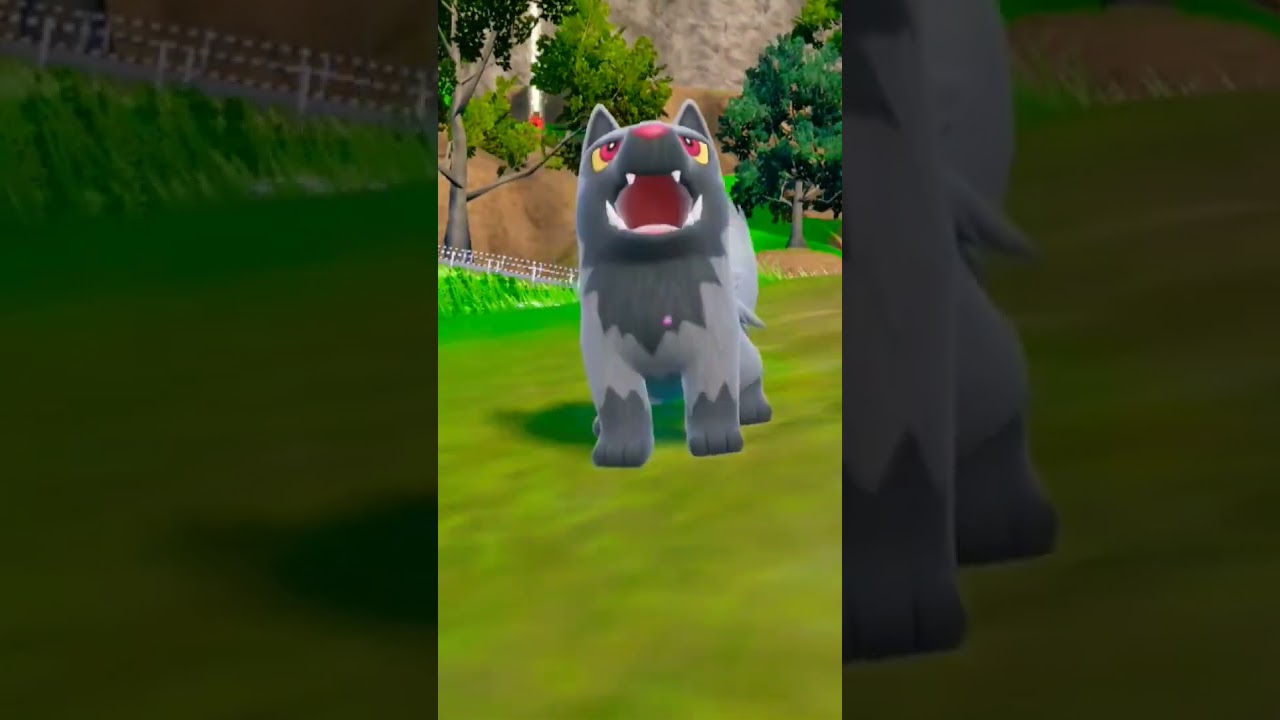 ポケモン図鑑埋めアメで進化🍬【ポチエナ進化】『グラエナ』