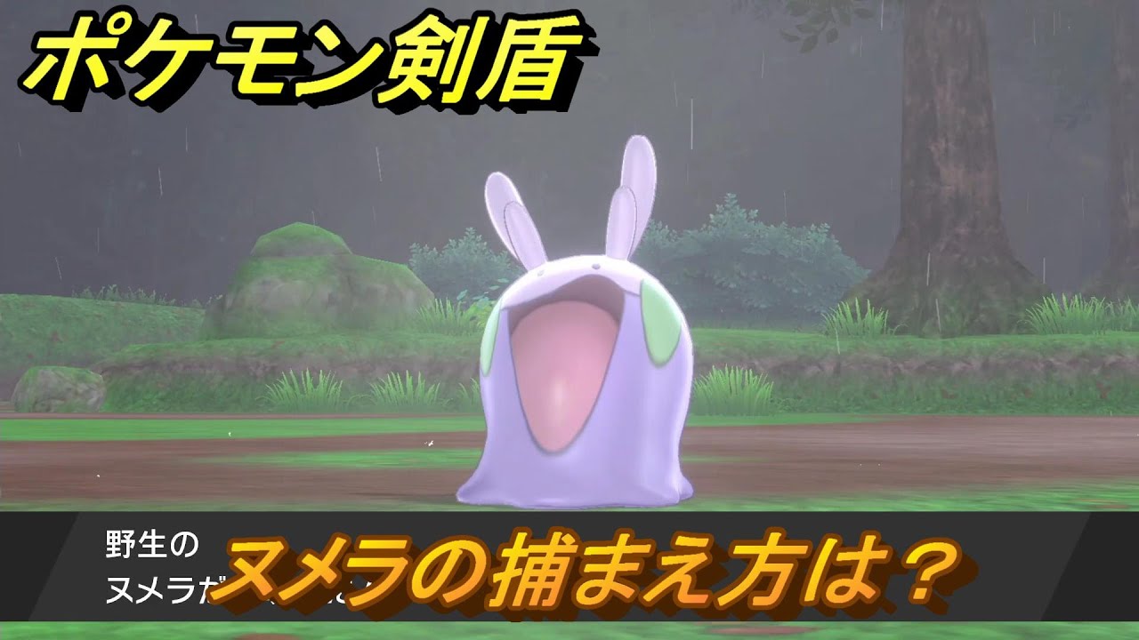 ポケモン剣盾　ヌメラの出現場所は？オススメの場所は？天気は？ポケモン図鑑コンプへの道！　最新版【ポケモンソード・シールド】