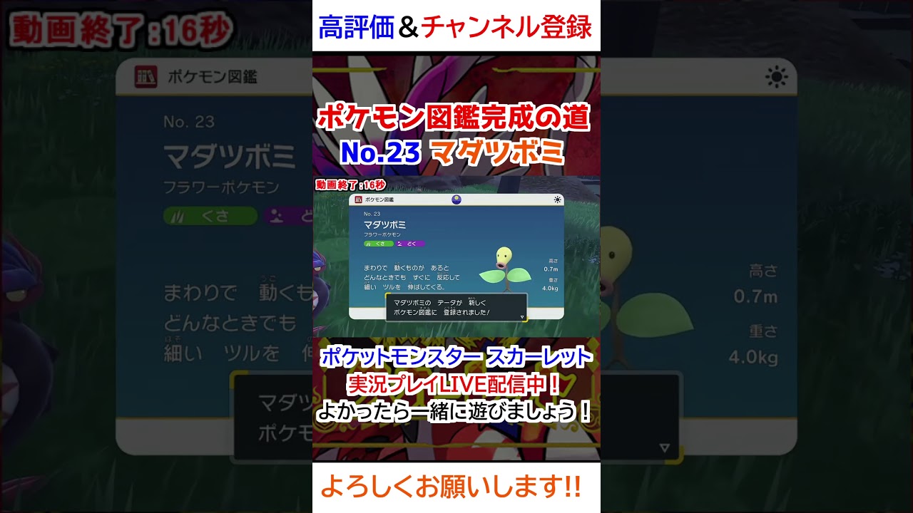 No 23 マダツボミ図鑑登録完了！【ポケモンSV】 #ゲーム #ゲーム実況 #ポケットモンスター