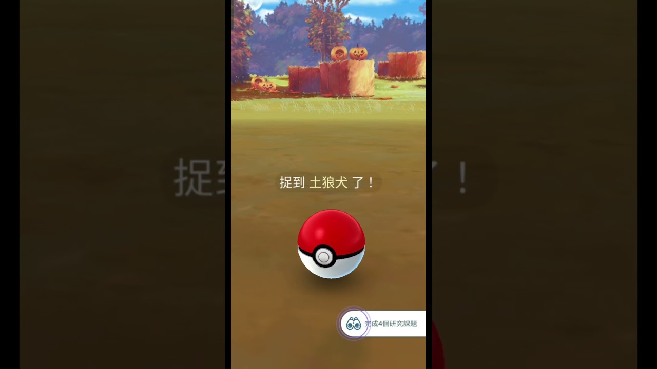 色違土狼犬耶！！！#lucky #精靈寶可夢#pokemongo#shorts #pokemon#開心#萬聖節#土狼犬#ポチエナ#Poochyena#0261#黃色#異色