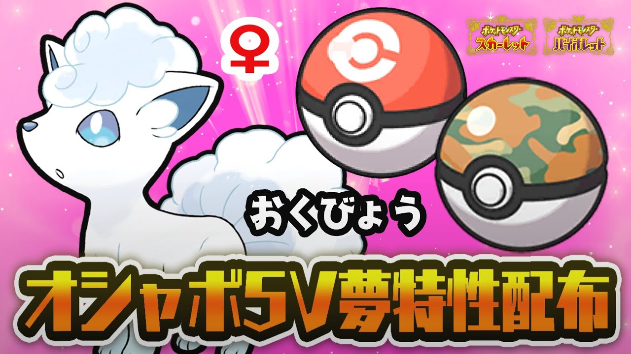 【 ポケモン配布 】初見さん歓迎！オシャボ５V夢特性！♀アローラロコン配布！【  ポケモンSV  】＃８９