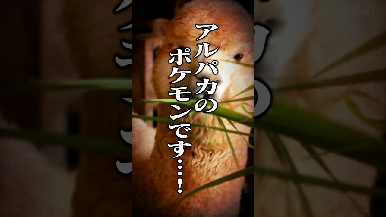 【ポケモン】プロイラストレーターがポワルンを図鑑情報だけで描いてみた #pokémon #shorts #伊東ライフ