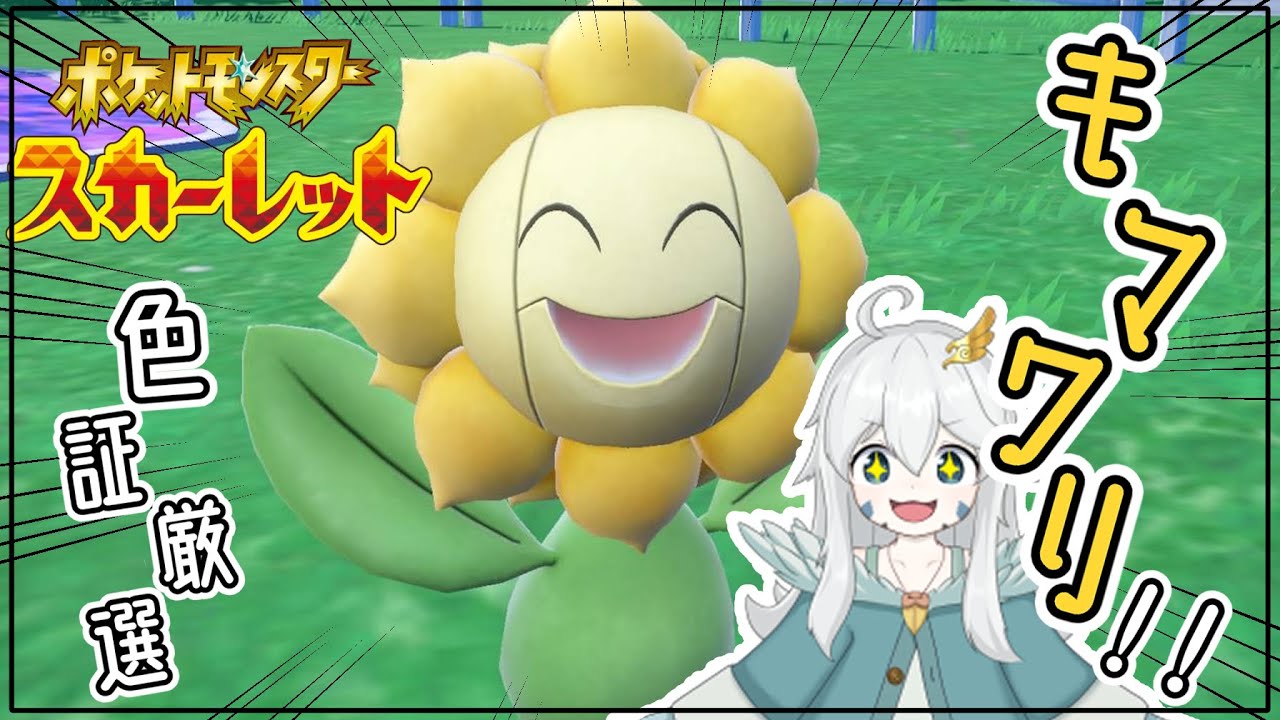 【ポケモンSV】図鑑番号No.32キマワリ色証厳選！！【初見歓迎・参加可能】