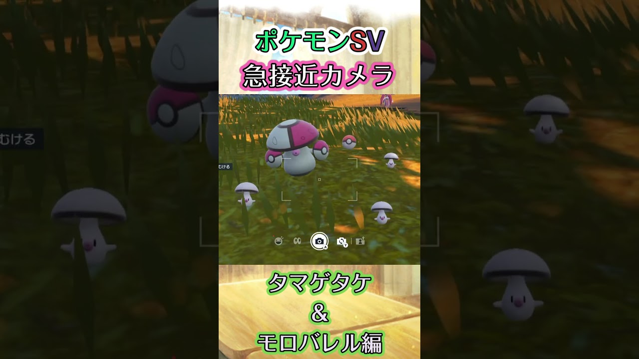 【ポケモンSV】たくさんのタマゲタケとそれらを束ねるモロバレルが隠れたり姿を現したりしてくるだけの動画 #ポケモン #ポケモンsv #タマゲタケ #モロバレル #shorts