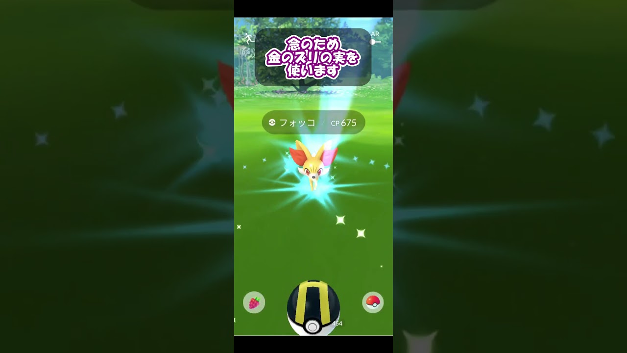 フォッコのコミュニティデイ！100%個体ゲット！？【ポケモンGO】【Pokemon GO】 #Shorts