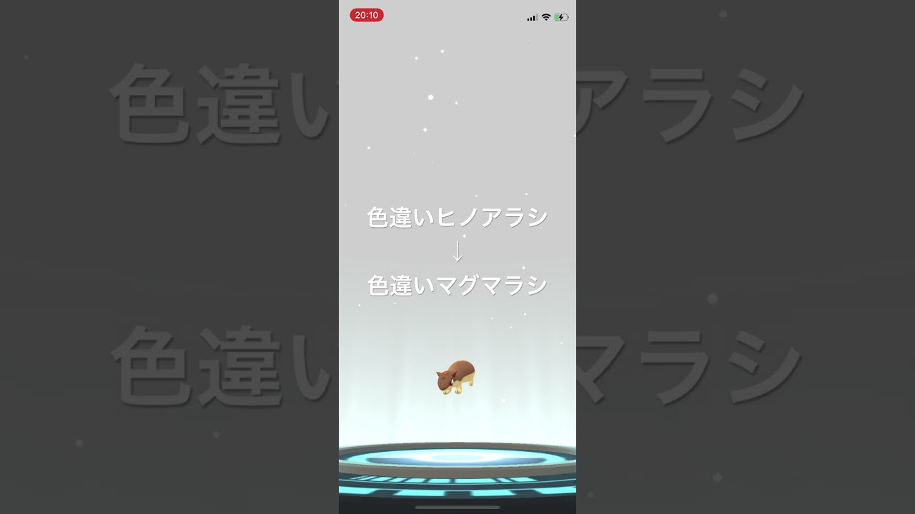 ポケモンGO 色違いヒノアラシを色違いマグマラシへ進化！ #pokémon #ポケットモンスター