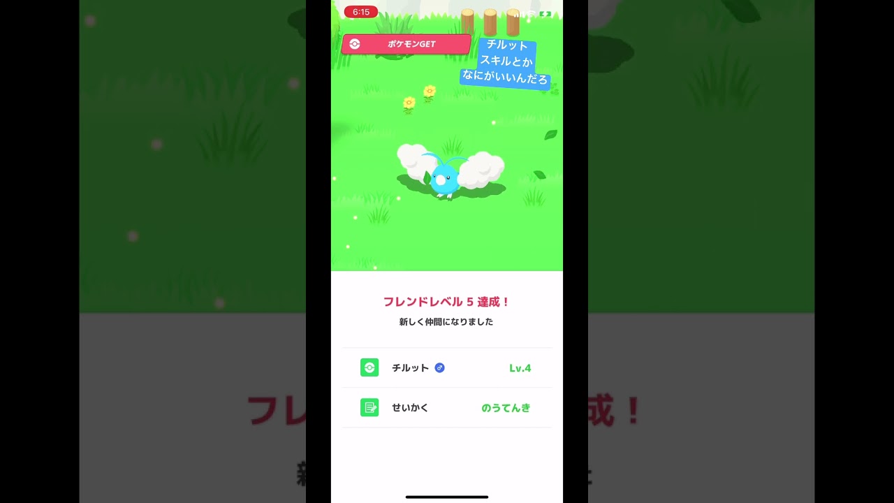 今日のチルット #shortvideo #pokemon #ポケモン