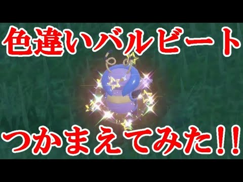 【ポケモンSV】色違いバルビートつかまえてみた！！