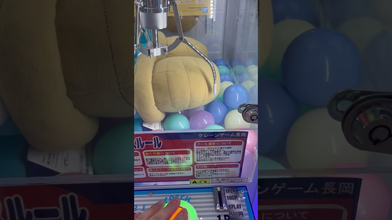 オムナイトをタテました。