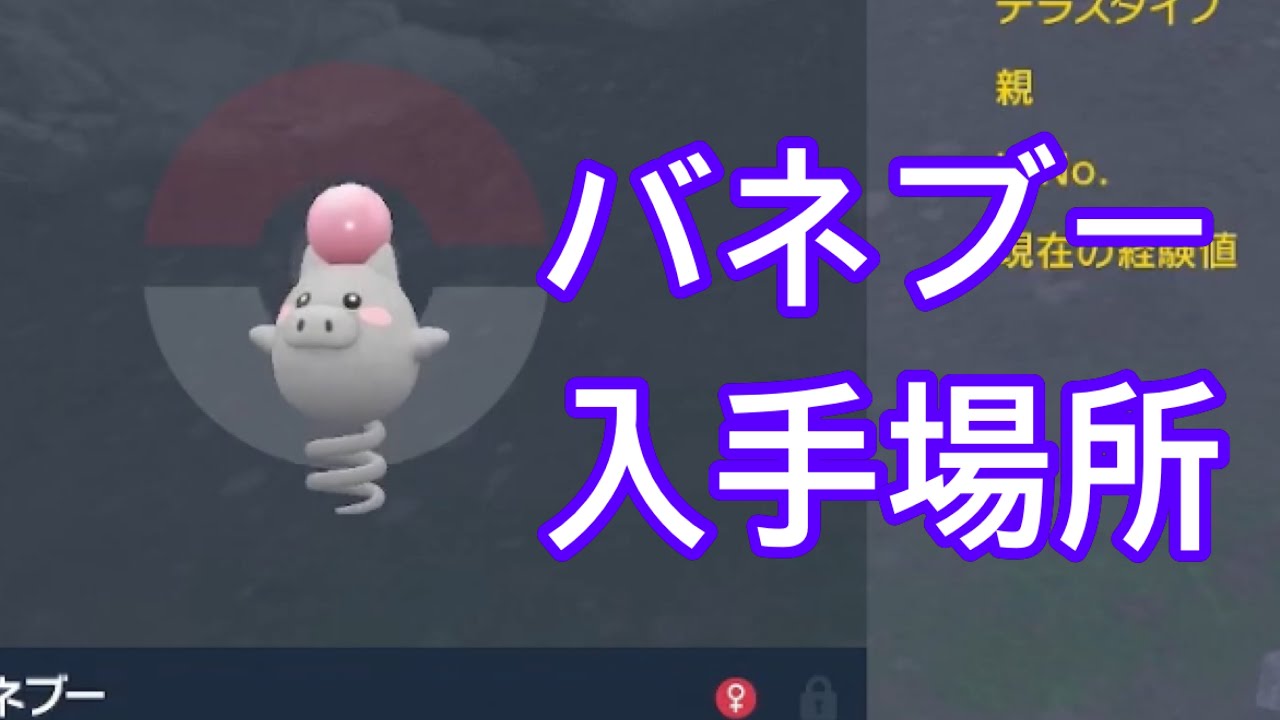 【ポケモンSV】【DLC】バネブー入手場所