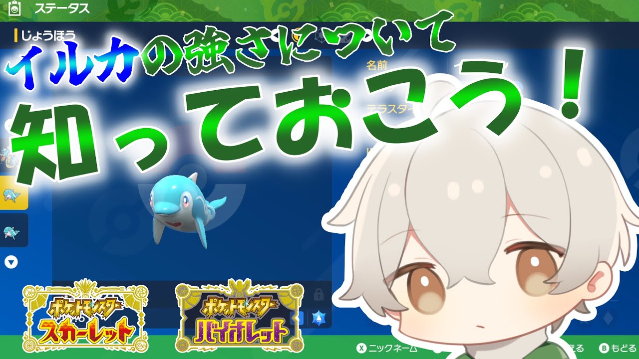 イルカマンの強さについて知っておこう！【ポケモンSV】