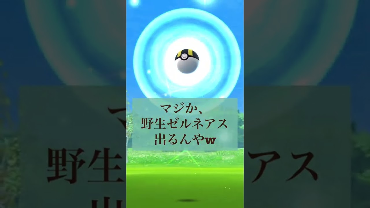 ポケモンGO 野生ゼルネアス出たぁw