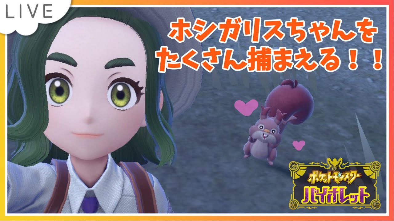 【初見さんも大歓迎/初心者プレイ】初めての交換会に向けての準備DAY！【ポケモンSV】