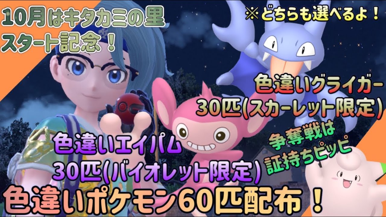 【ポケモンSV】自己産！色違いエイパム＆色違いグライガー60匹配布！争奪戦アリ！【色違いポケモン配布】