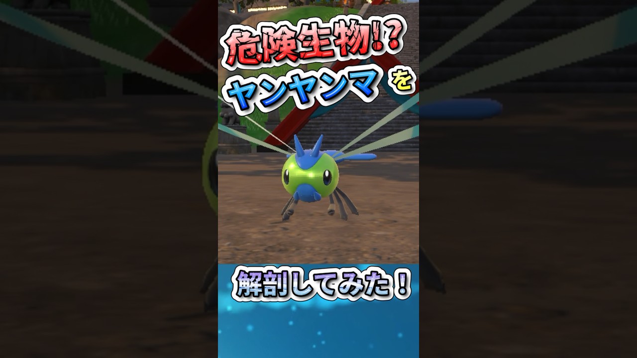 危険生物！？ヤンヤンマ　#ポケモンSV #ヤンヤンマ  #雑学 #ポケモン雑学  #pokemon #shorts #ポケモン図鑑   #キタカミの里　#碧の仮面　#とんぼ  #色違い厳選