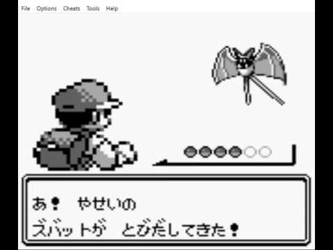 ポケットモンスターコラッタ5
