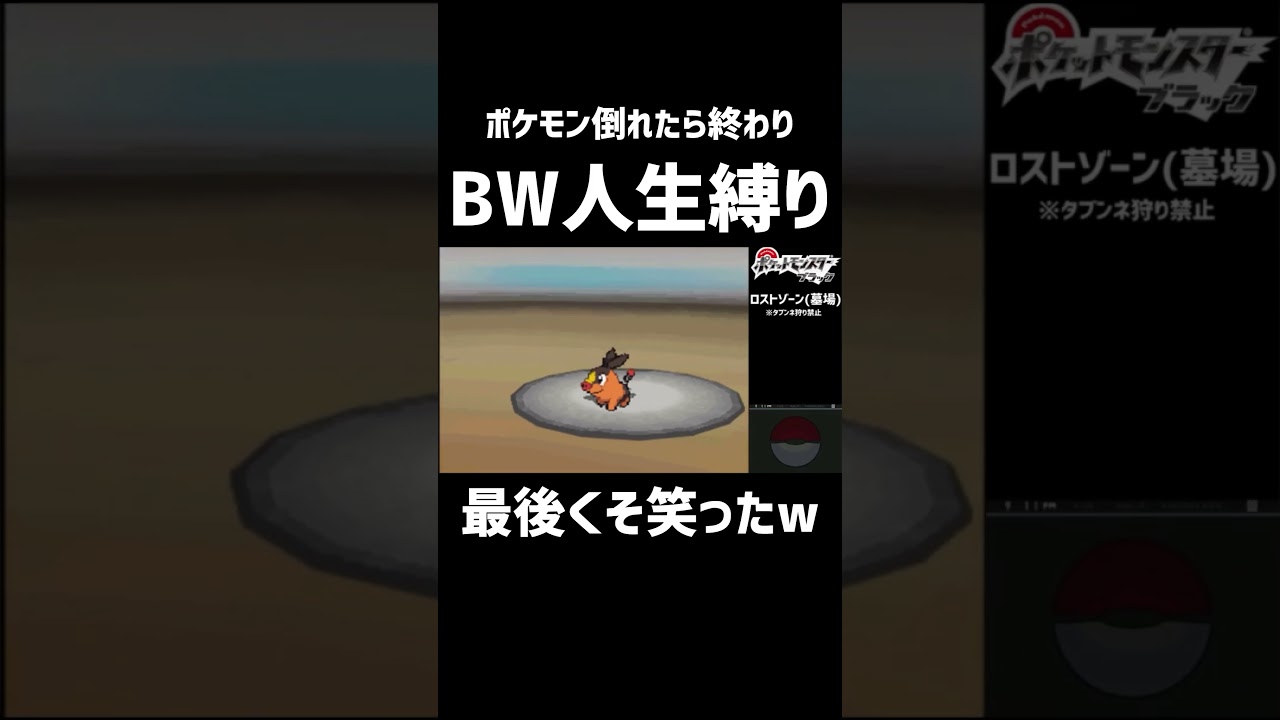 バーサーカーポカブ【ポケモンBW】