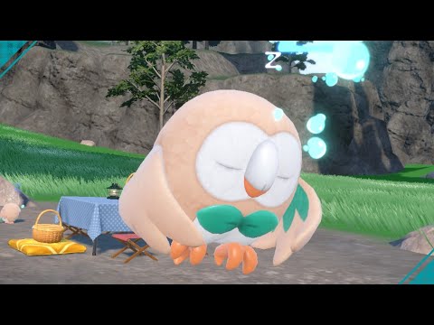 モクローとの戯れ