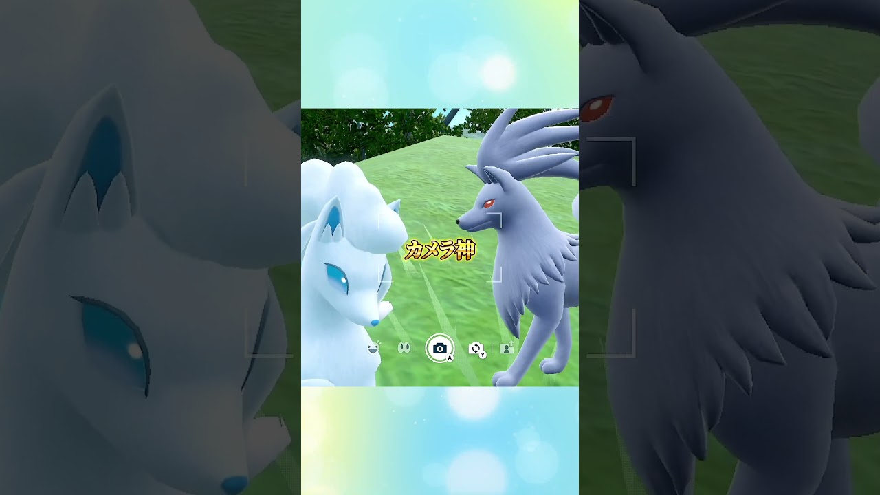 色違いキュウコンとアローラキュウコンの夫婦✨【ポケモンSV】