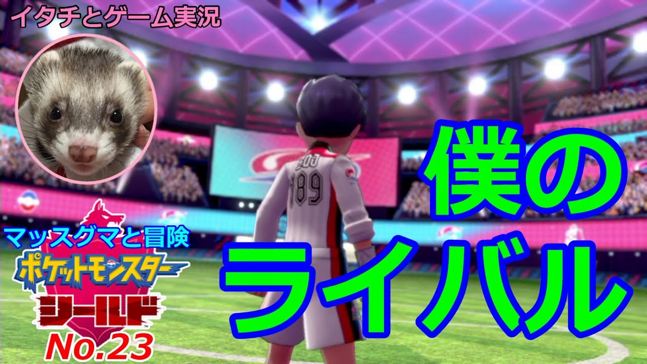 【ポケモン盾】マッスグマと冒険No.23【ありがとう僕のライバル】