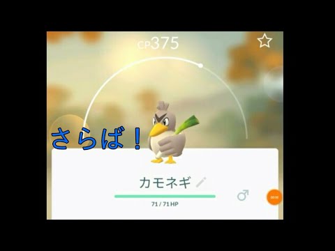 [ポケモンGO]さらばカモネギ